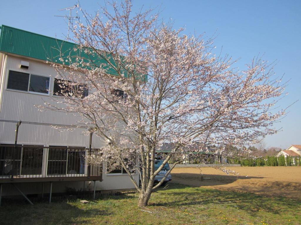 Narita Airport Hostel Shibayama Exteriör bild